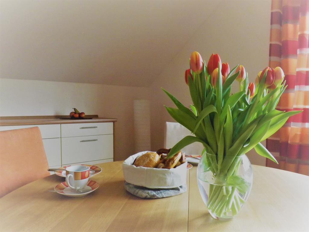 Feriendomizil Am Rheinbogen Apartment Altlussheim Екстериор снимка
